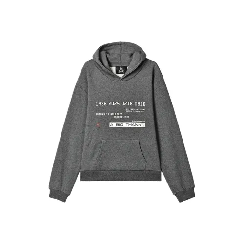 Abigthanks Серый Унисекс Свитшоты