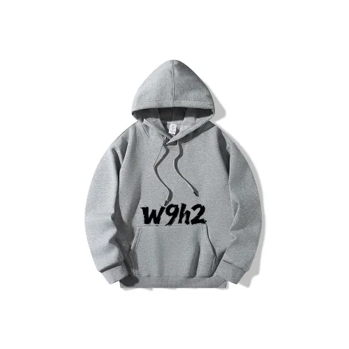 W9H2 Светло-серый Унисекс Свитшоты