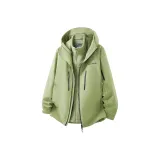 Сливовый зеленый