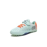 Лунные шипы