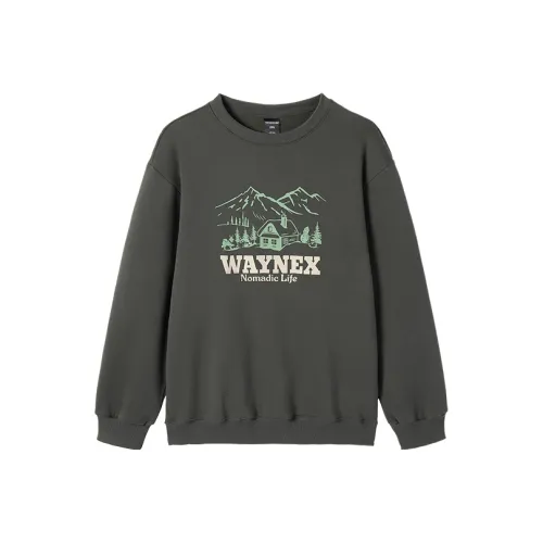 WAYNEXZAVIER Серый Мужской Свитшот