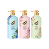 Лечение перхоти Контроль жирности Шампунь 750 мл + Гель для душа 750 мл + Кондиционер для волос 750 мл