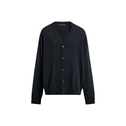 ZARA Collaboration Глубокий морской синий Мужской Трикотаж