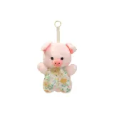 Бобовый мешок для свинки