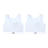 Лазурь далёкого неба