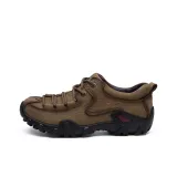 Светло-коричневый