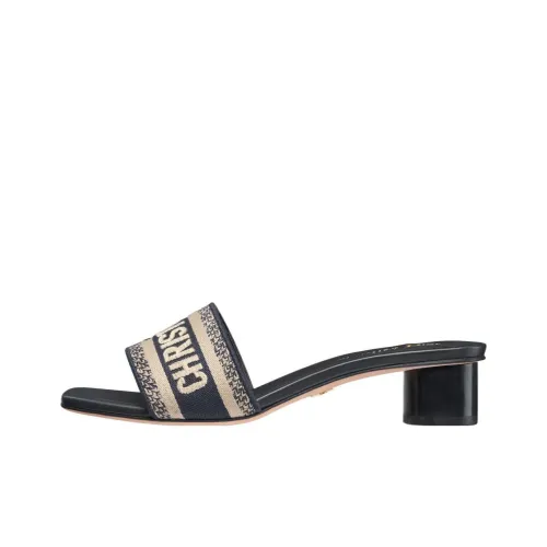 DIOR Dway Антибактериальные Слипоны Женские Темно-синие