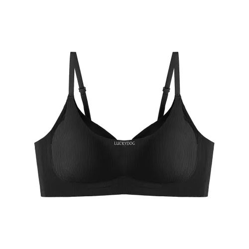 PERFECT LINE SHOW Женские Бюстгальтеры