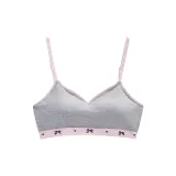 Розовый цвет бегонии