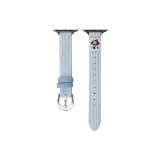 Синий-серебристая пряжка