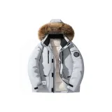 Ледниково-серый