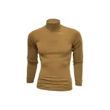 Земляной желтый