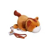 Радужный Пони