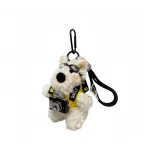 Желтая одежда, фототехника, вестер-хайленд