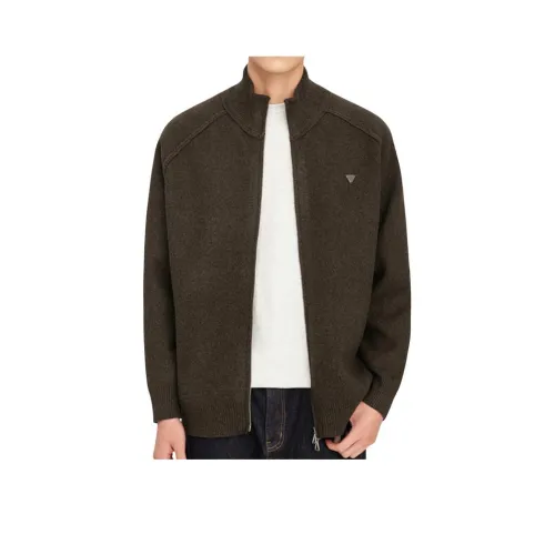 SLLAVIF Кофейный Мужской Трикотаж