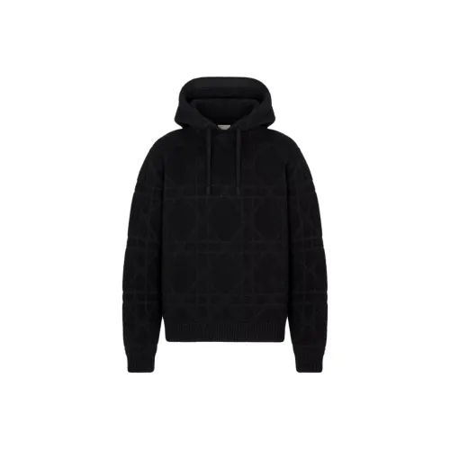 DIOR Черные Мужские Свитера