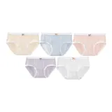 5 пачек (Желтый + Синий + Розовый + Фиолетовый + Белый)