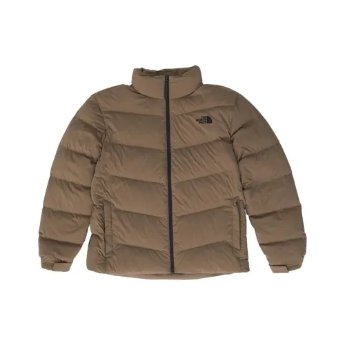 THE NORTH FACE Пуховики и зимние пальто Мужской