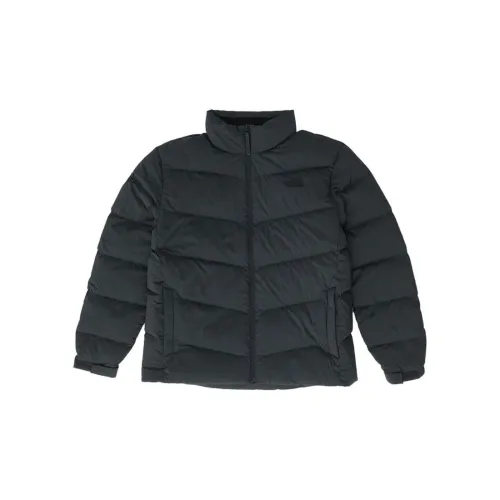 THE NORTH FACE Пуховики и зимние пальто Мужской