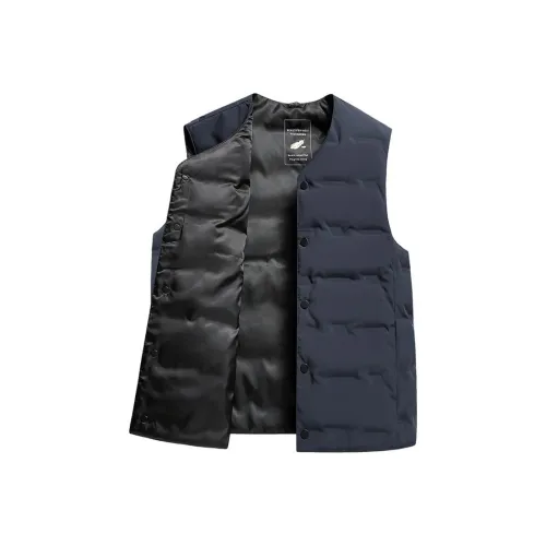 TAIZILONG Мужской пуховый жилет