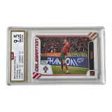 9,5 балла (Золотая этикетка)