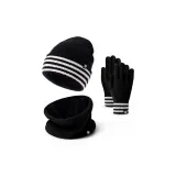 Шляпа, шарф, перчатки, трехкомпонентный комплект [черный]