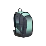 Мята Градиентная