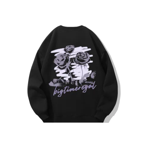 BIG TIME REGAL Свитшот Унисекс