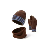 Шляпа, шарф, перчатка, трехкомпонентный комплект [кофейный]