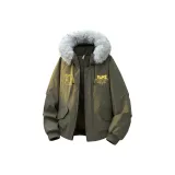 Цвет серой чайки