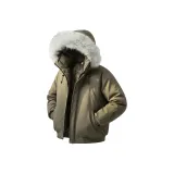 Цвет серой чайки