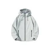 Ледниково-серый