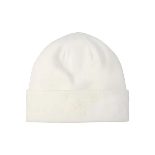 Arcteryx Полиэстер Шапки и Кепки Унисекс Arctic Шелк