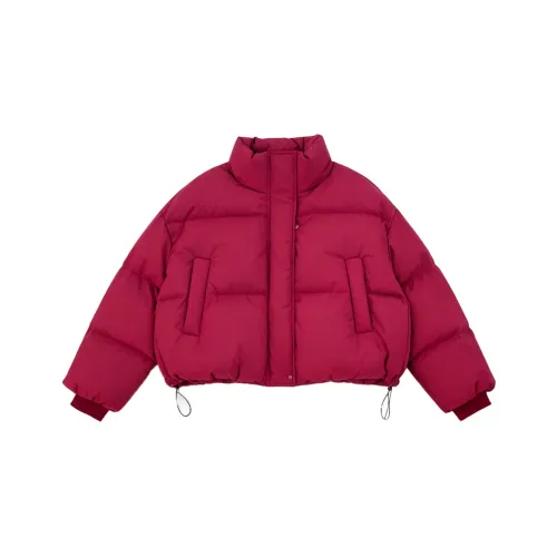 Amyway Женские пуховики