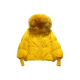 Желтая шкура енотовидной собаки