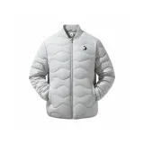 Слоновой серый