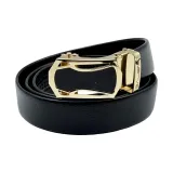 Черная золотая пряжка