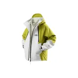 Лимон [Съемный бренд, брошь]