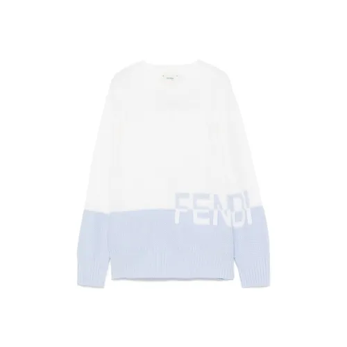 FENDI Синий с Белым Lettering Kids Свитеры