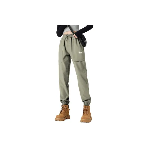 JEEP SPIRIT Мужские Повседневные Брюки