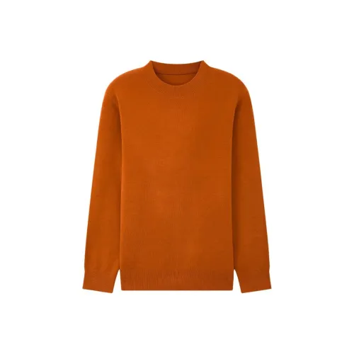 MindBridge Мужские Свитера