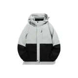 Сияющий Серый