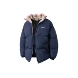 Синий Кляйна