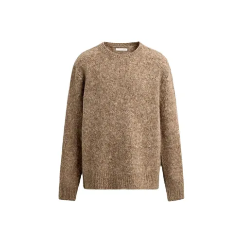 ZARA Коричневый Мужской Трикотаж