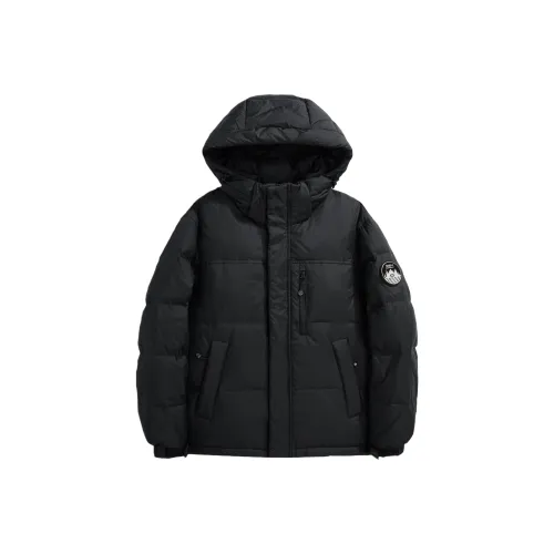 APBM Унисекс Пуховики и зимние пальто