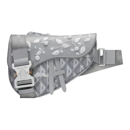 DIOR Холст с гладкой коровьей кожей и вышивкой "Ландыш" Сумка через плечо Мужская DIOR Серый
