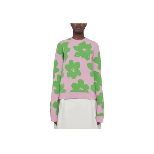 JIL SANDER Пион Цвет Женские Свитеры