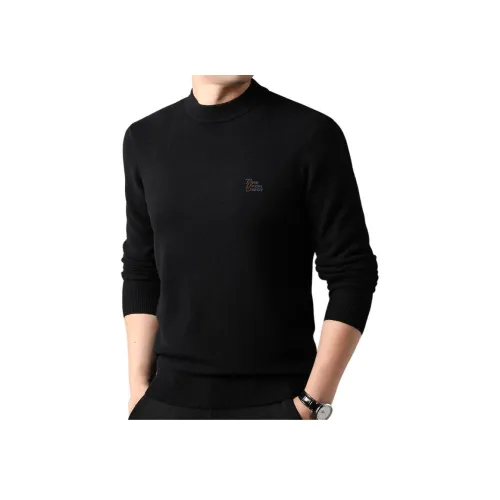 PIERRE CARDIN Мужские Свитера