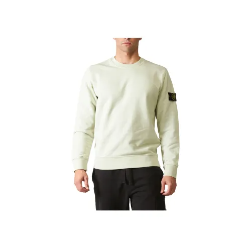 Stone Island Светло-зеленый Мужские Свитшоты