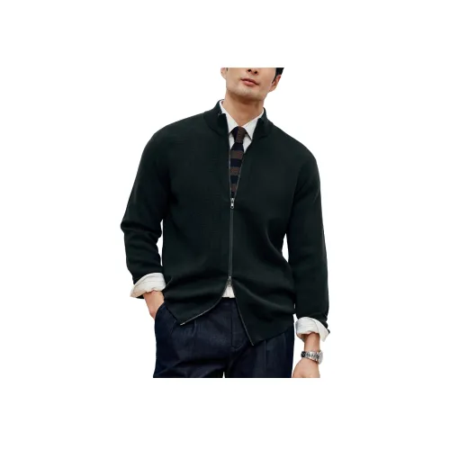 SHENGHE Мужской Трикотаж